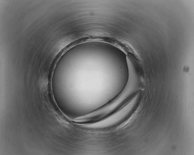 X0000094331065200711091359