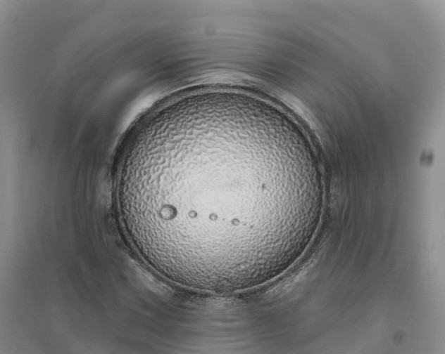 X0000094331067200711091359