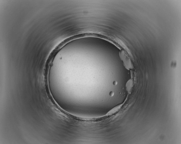 X0000094331068200711091359