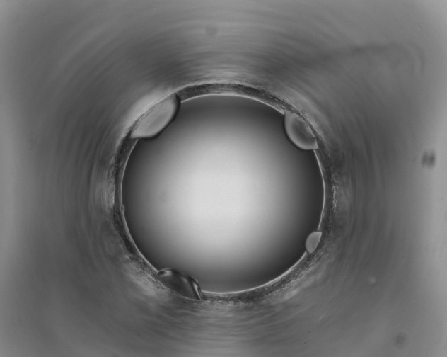 X0000094331069200711091359