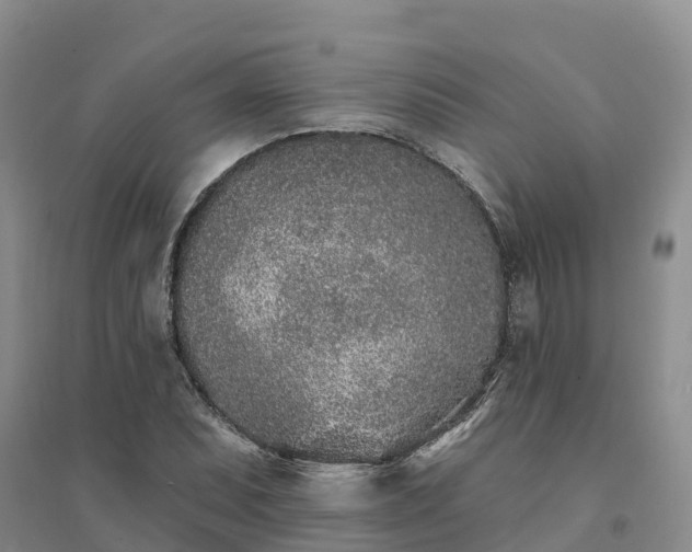 X0000094331071200711091359