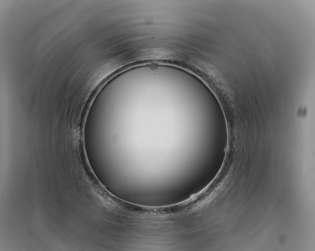 X0000094331073200711091359