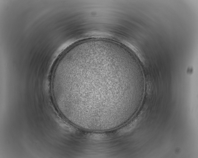 X0000094331074200711091359