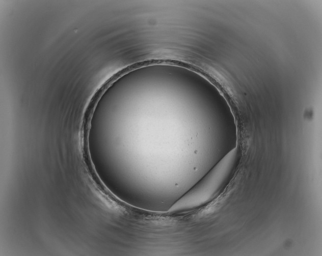 X0000094331076200711091359