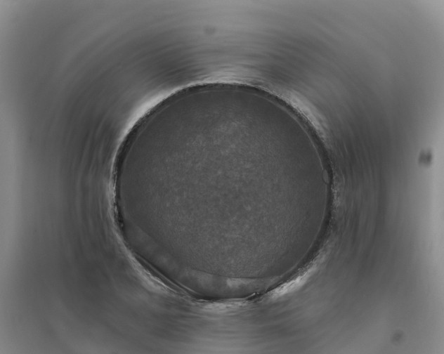 X0000094331077200711091359