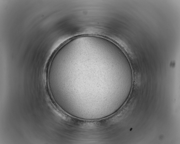 X0000094331078200711091359