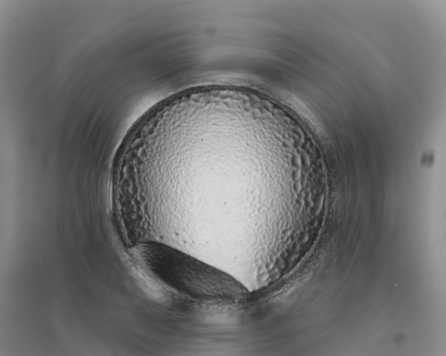 X0000094331079200711091359