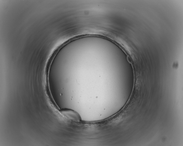 X0000094331080200711091359