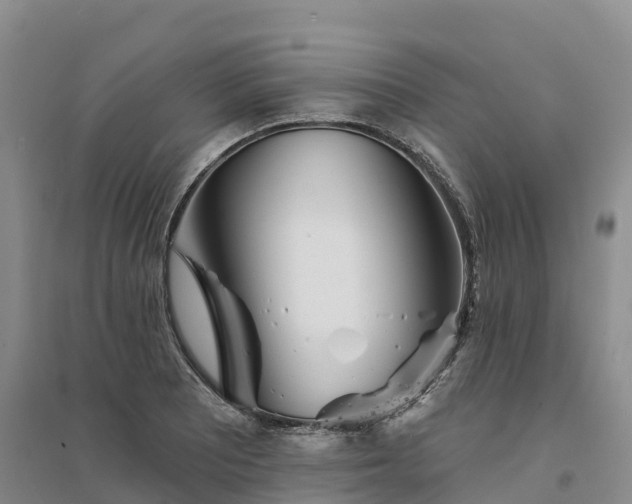 X0000094331081200711091359