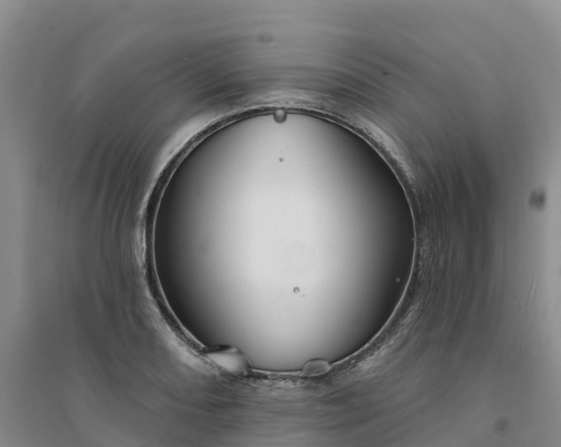 X0000094331082200711091359