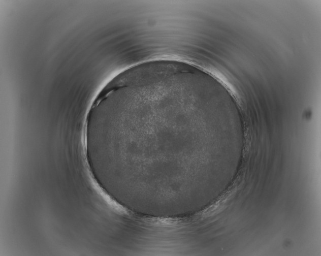 X0000094331084200711091359