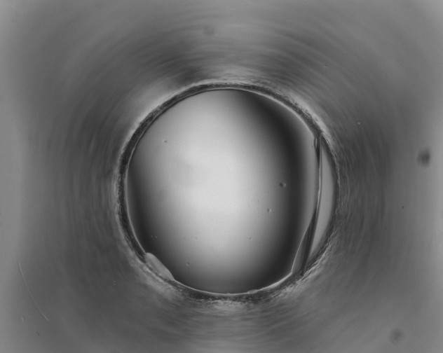 X0000094331085200711091359