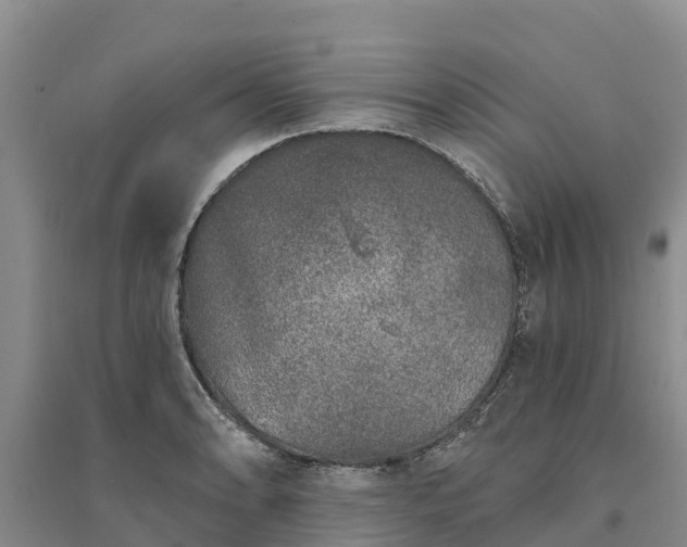 X0000094331086200711091359