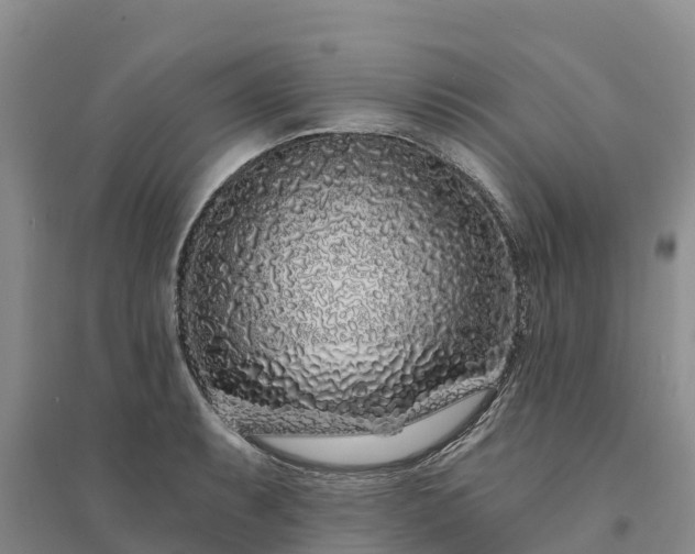 X0000094331087200711091359