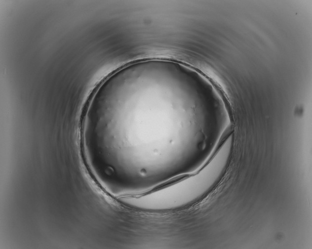 X0000094331088200711091359