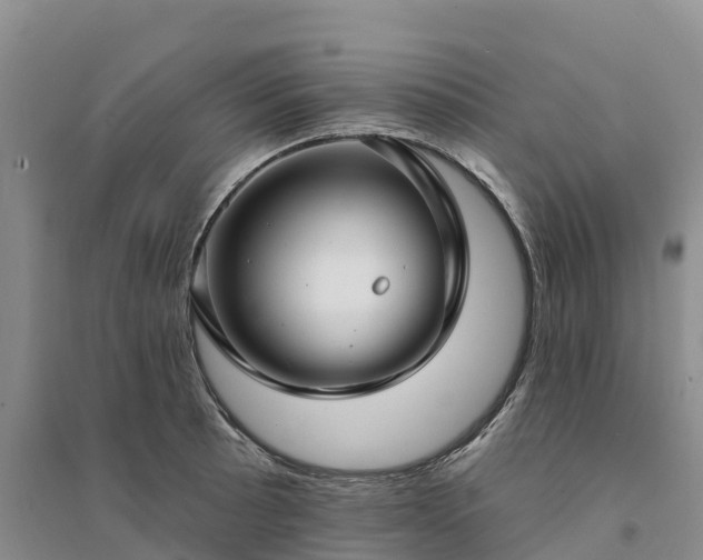 X0000094331089200711091359