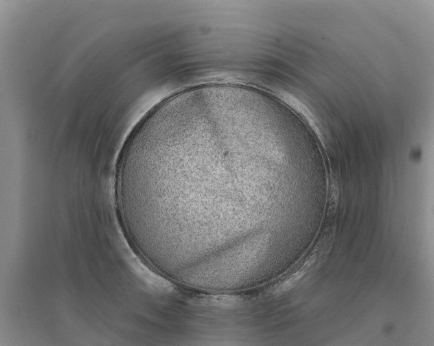 X0000094331090200711091359