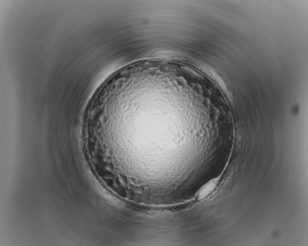 X0000094331091200711091359