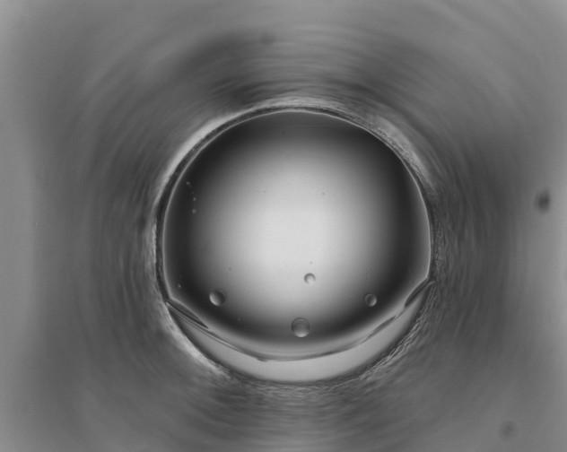 X0000094331092200711091359