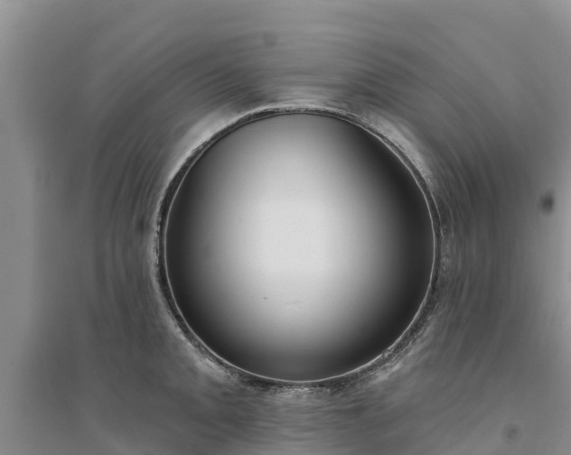 X0000094331093200711091359