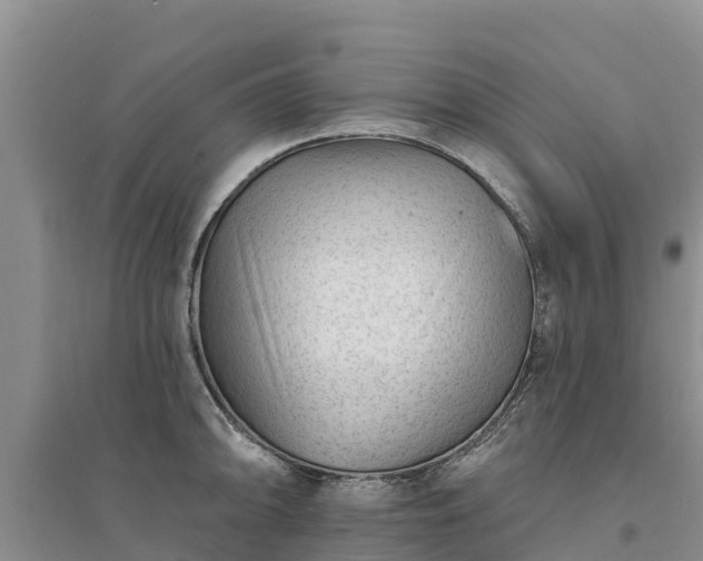 X0000094331094200711091359