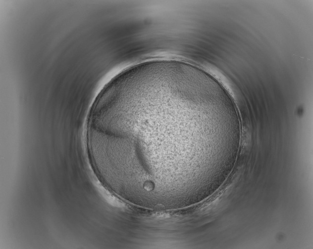 X0000094331098200711091359