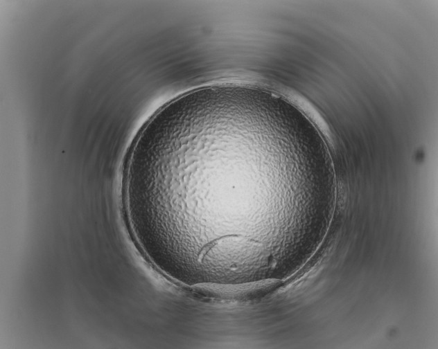 X0000094331099200711091359