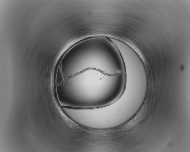 X0000094331101200711091359