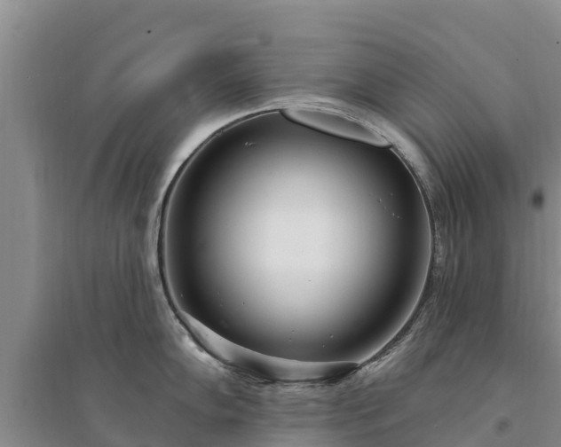 X0000094331102200711091359