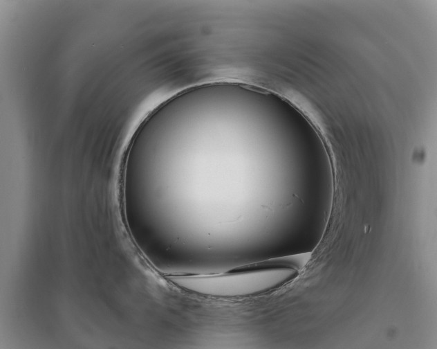 X0000094331104200711091359
