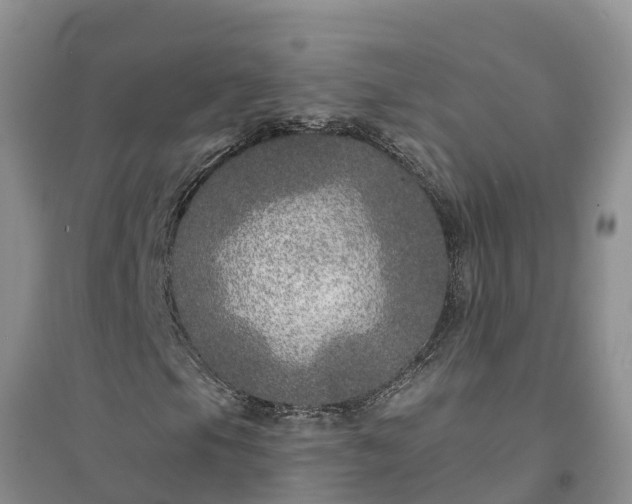 X0000094331105200711091358
