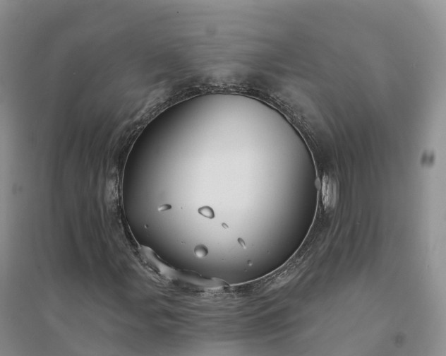 X0000094331107200711091358