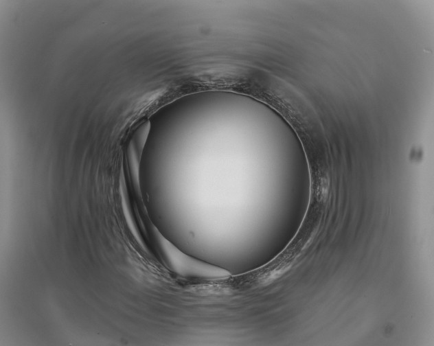 X0000094331108200711091358