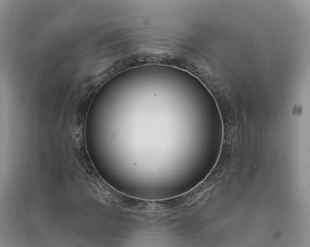 X0000094331109200711091358