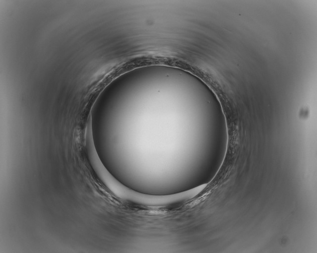 X0000094331110200711091358