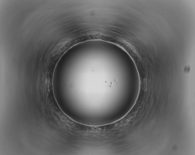 X0000094331111200711091358