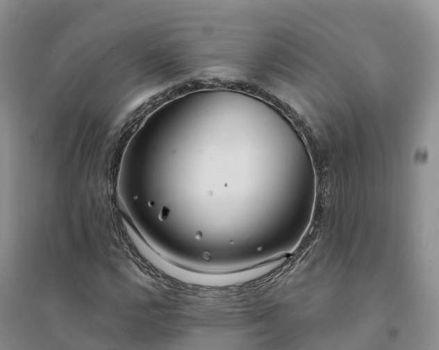 X0000094331112200711091358