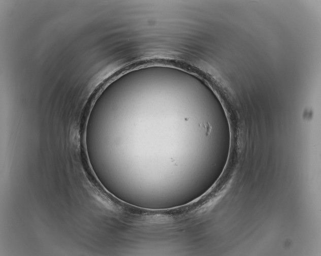 X0000094331113200711091358
