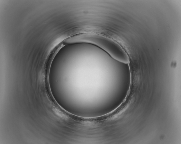 X0000094331114200711091358