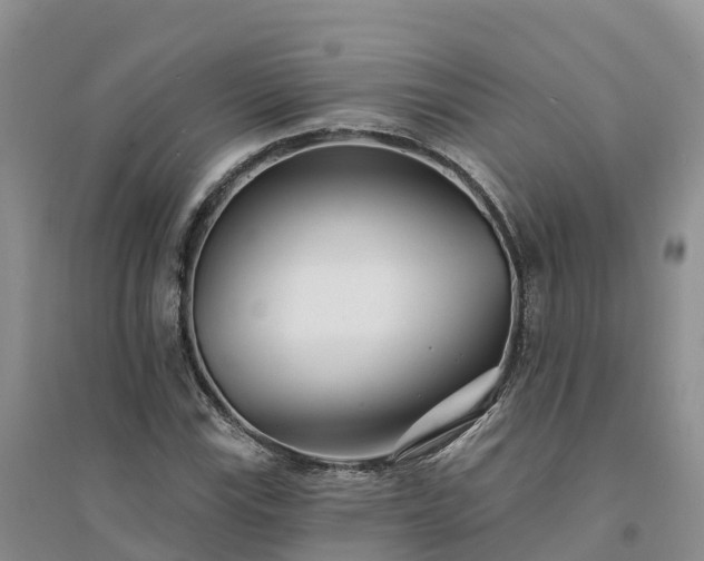 X0000094331115200711091358