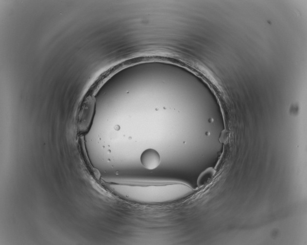 X0000094331116200711091358