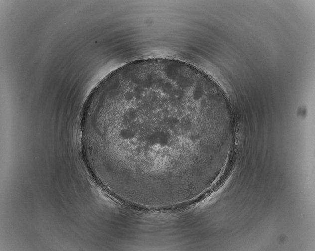 X0000094331117200711091358