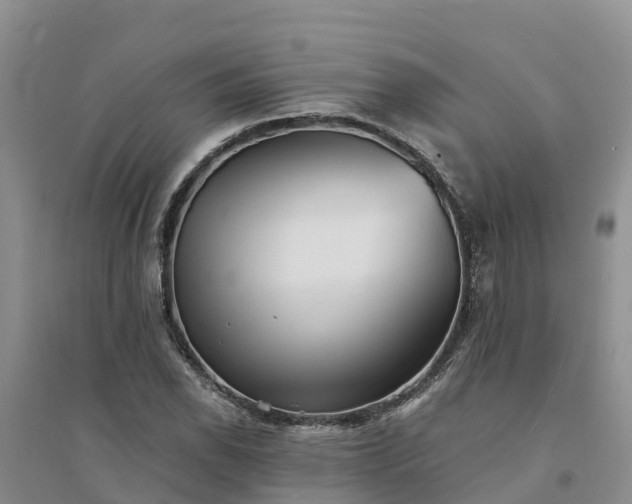 X0000094331118200711091358