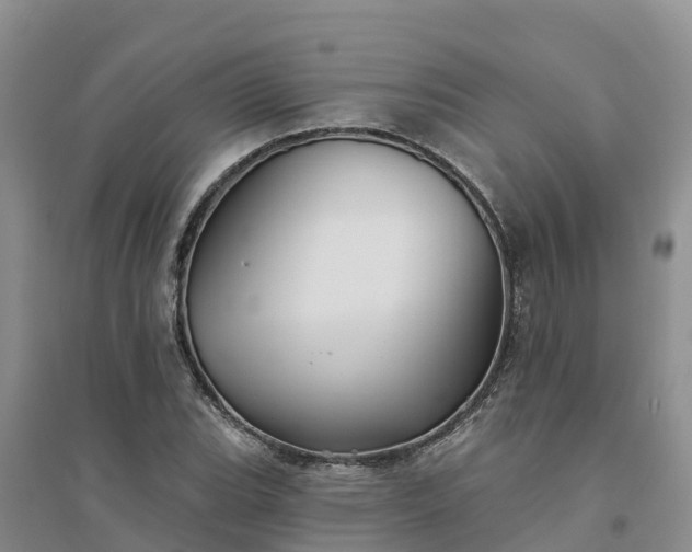 X0000094331119200711091358