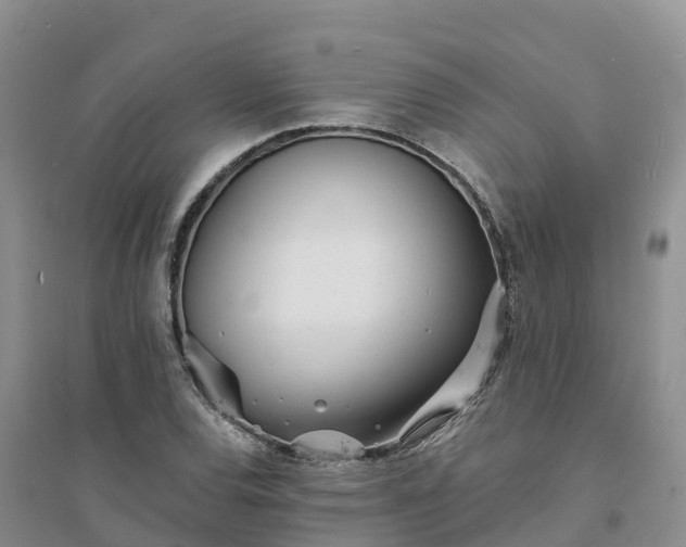 X0000094331120200711091358