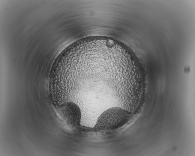 X0000094331121200711091358