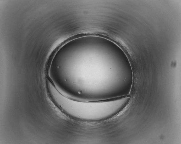 X0000094331122200711091358