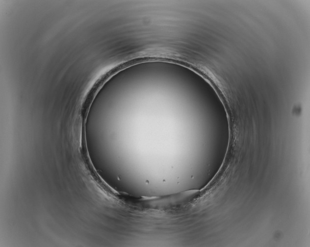 X0000094331123200711091358