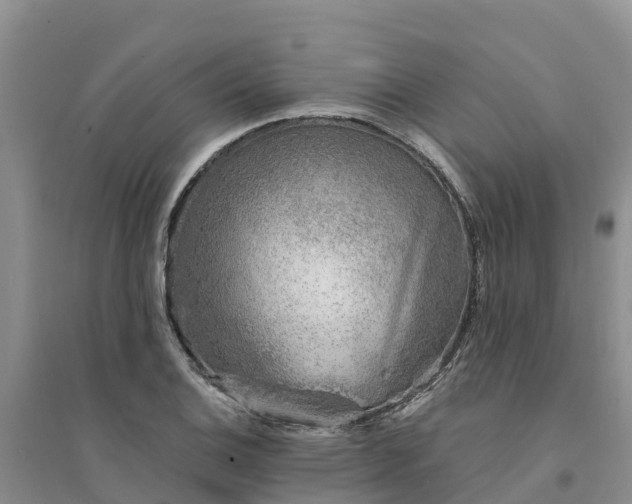 X0000094331124200711091358