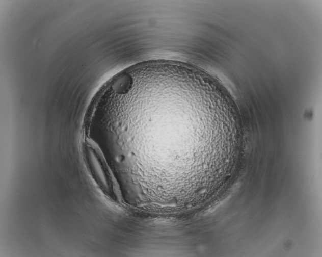 X0000094331125200711091358